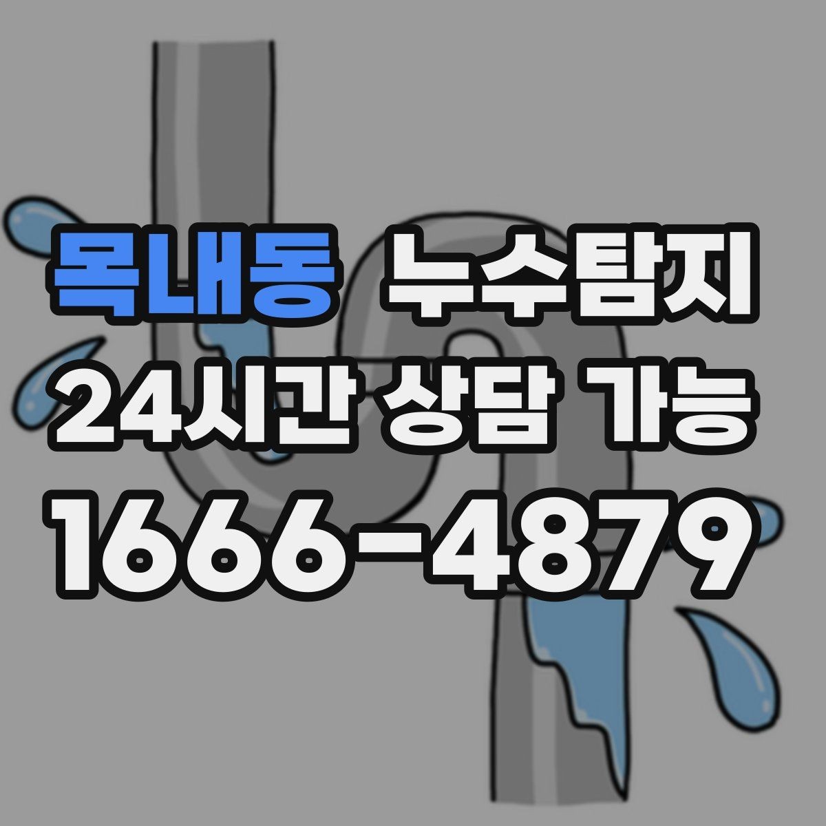 목내동 누수탐지 감춰진 누수 정확한 진단으로 빠르게 해결해드립니다