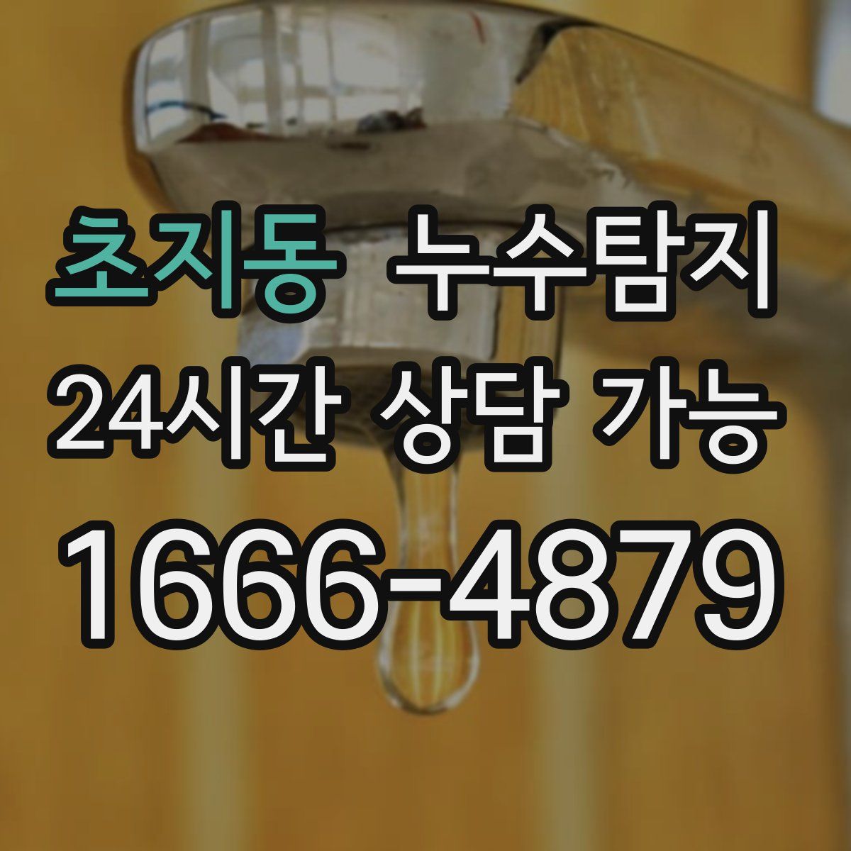 초지동 누수탐지