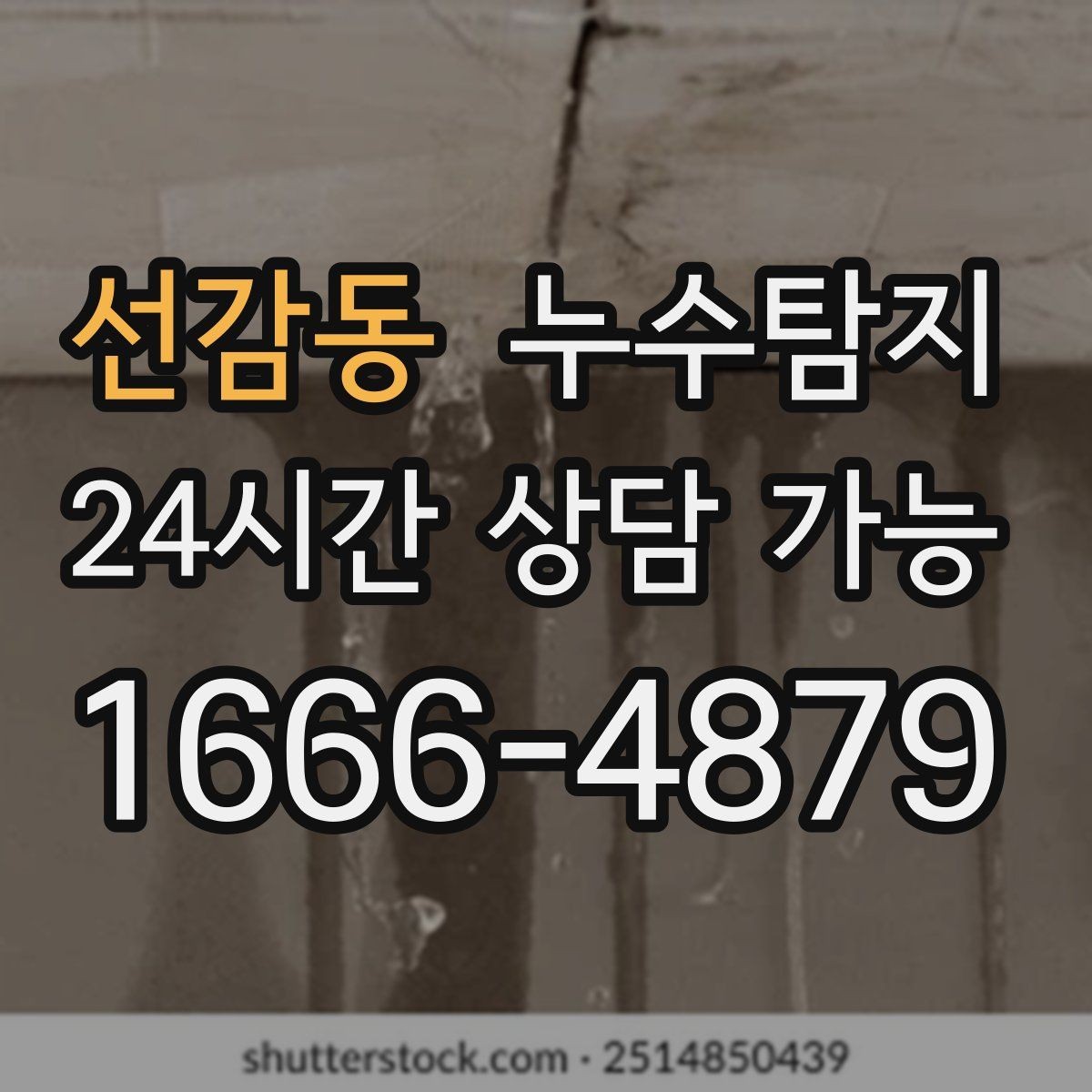 선감동 누수탐지 전세 계약 전 집 상태 확인법