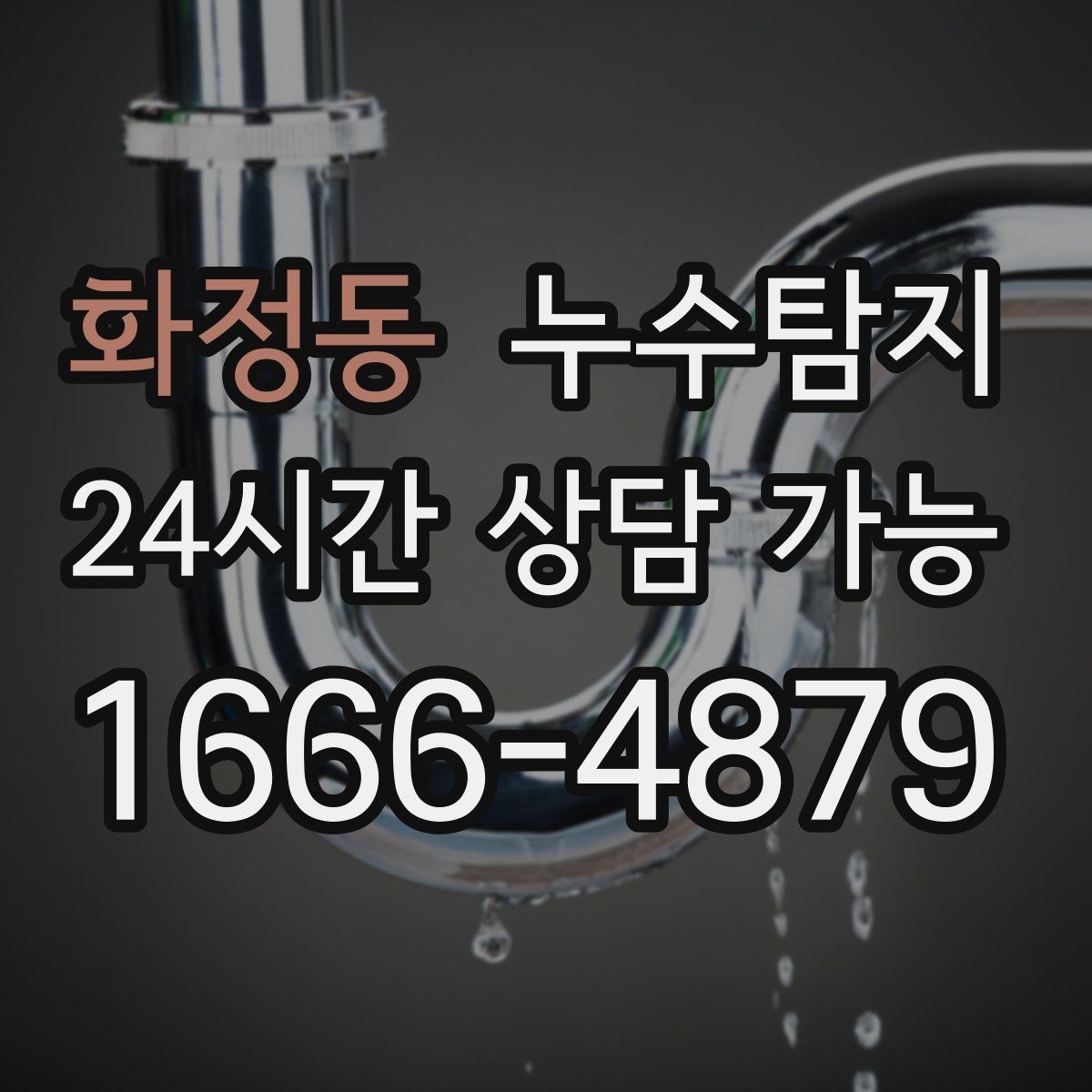화정동 누수탐지 반려가정 배려 점검 후기