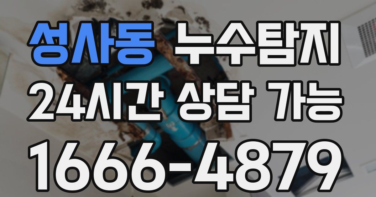 성사동 누수