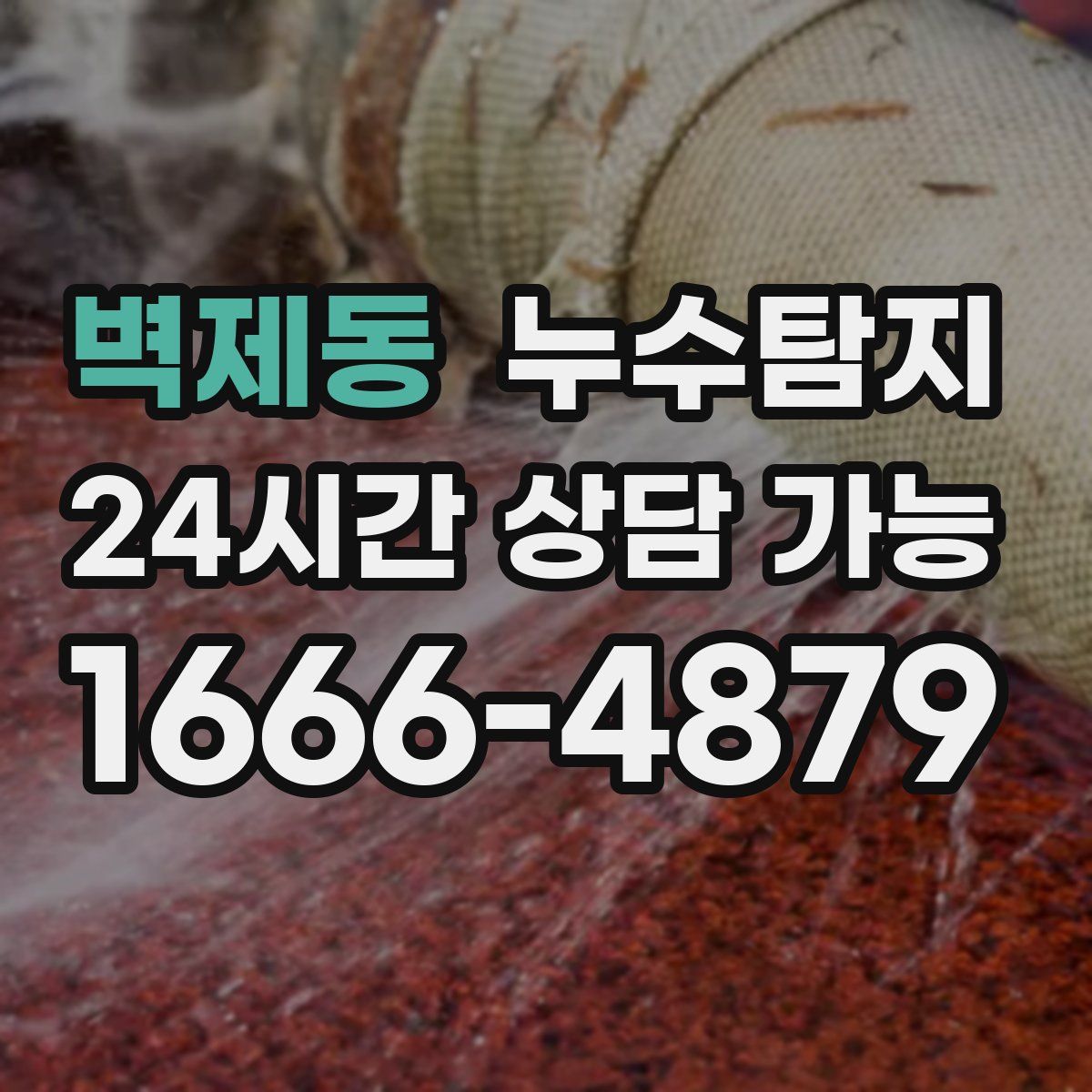 벽제동 누수탐지
