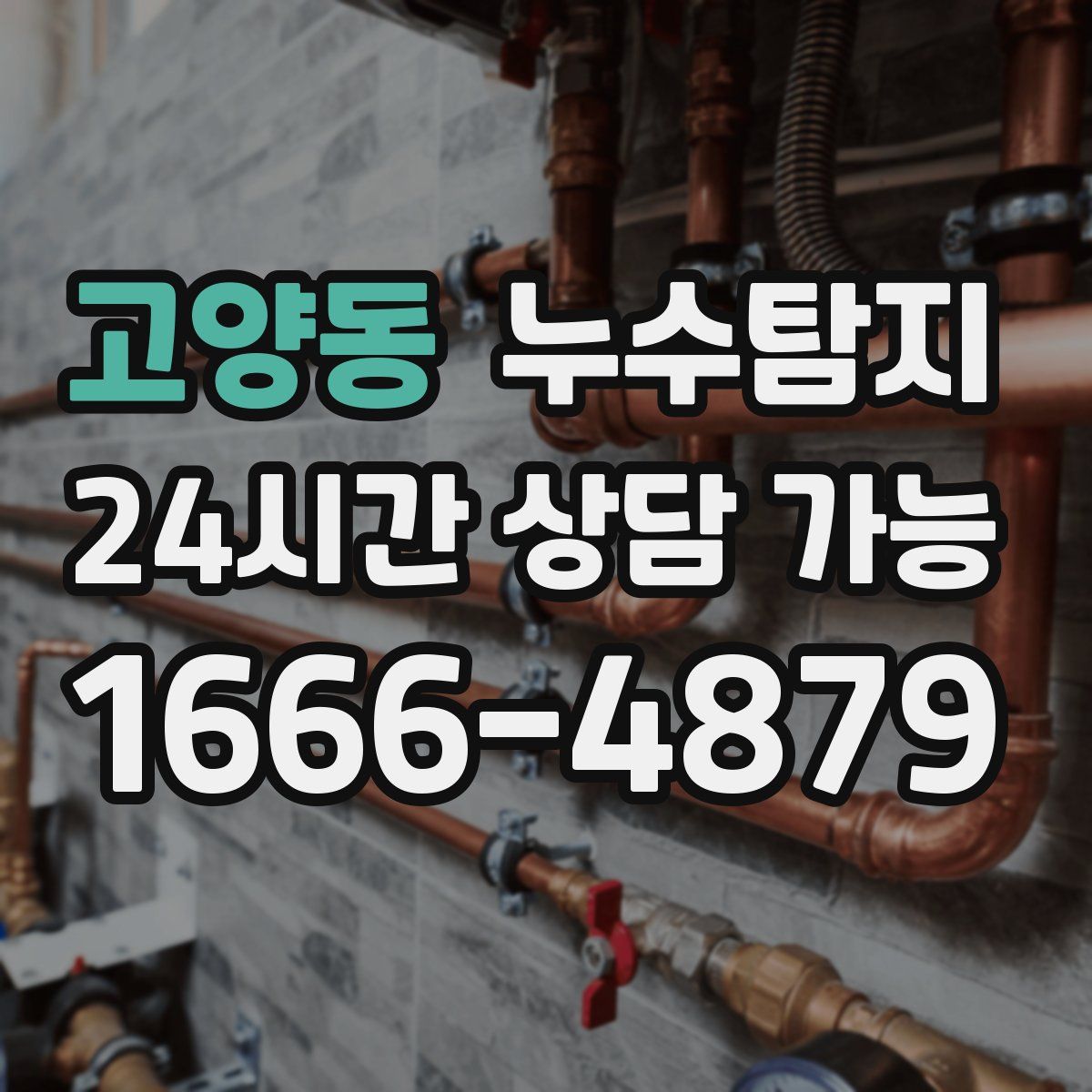 고양동 누수탐지