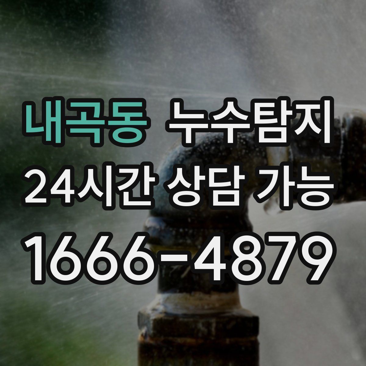 내곡동 누수탐지