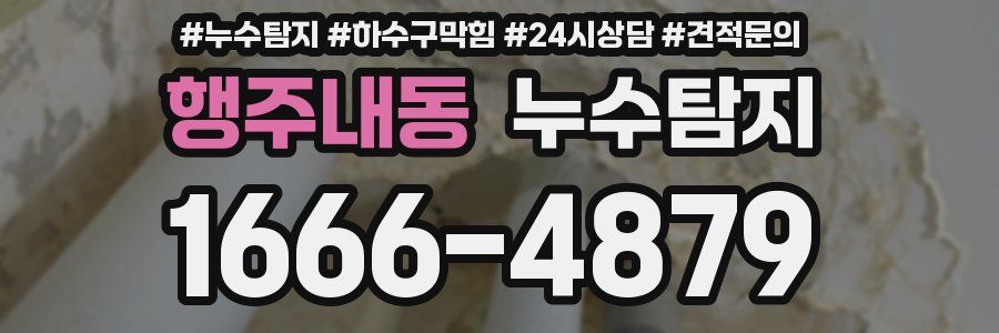 누수탐지
