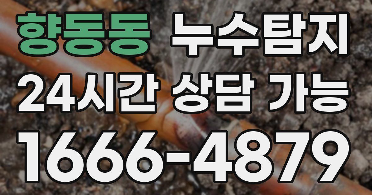 향동동 누수