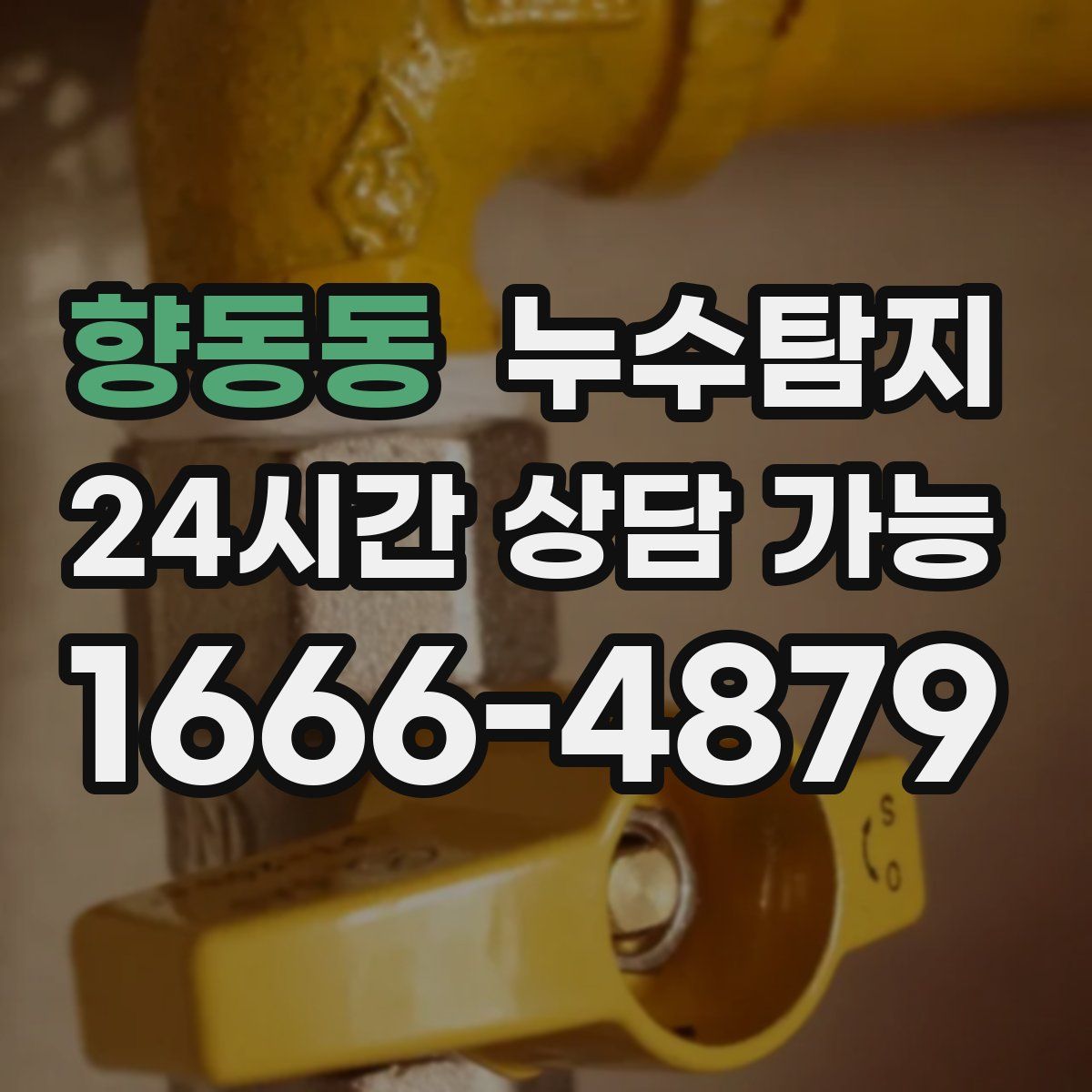 향동동 누수탐지