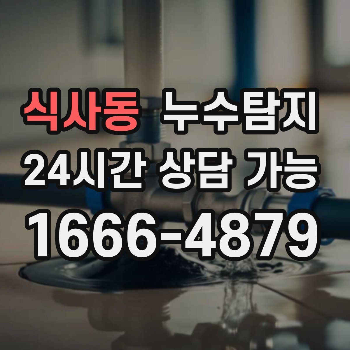 식사동 누수탐지 계량기 이상 신호 해석 노트
