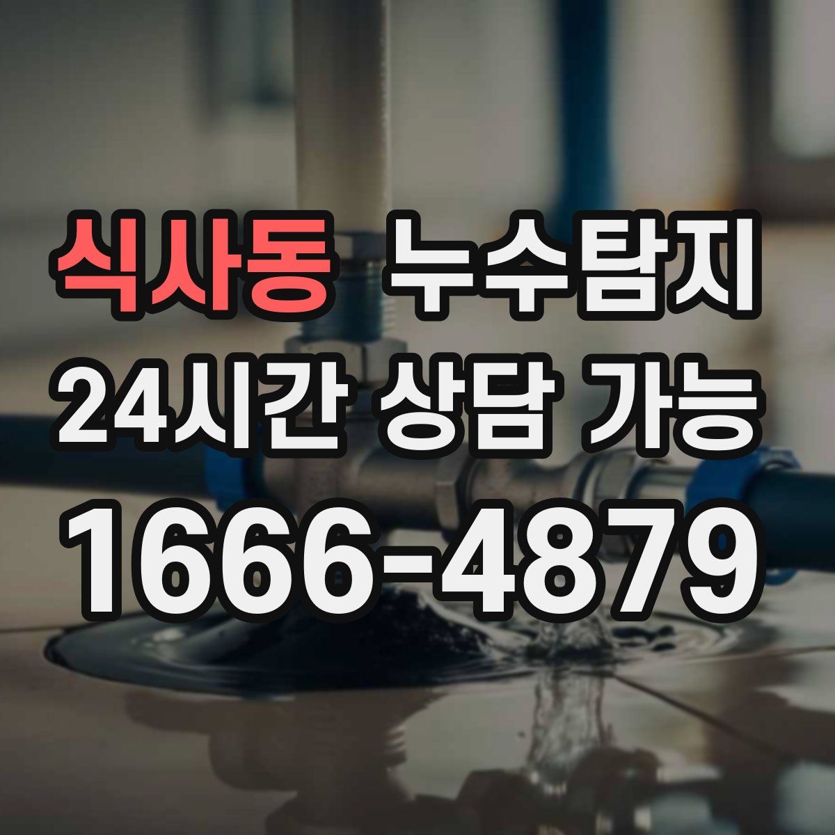식사동 누수탐지