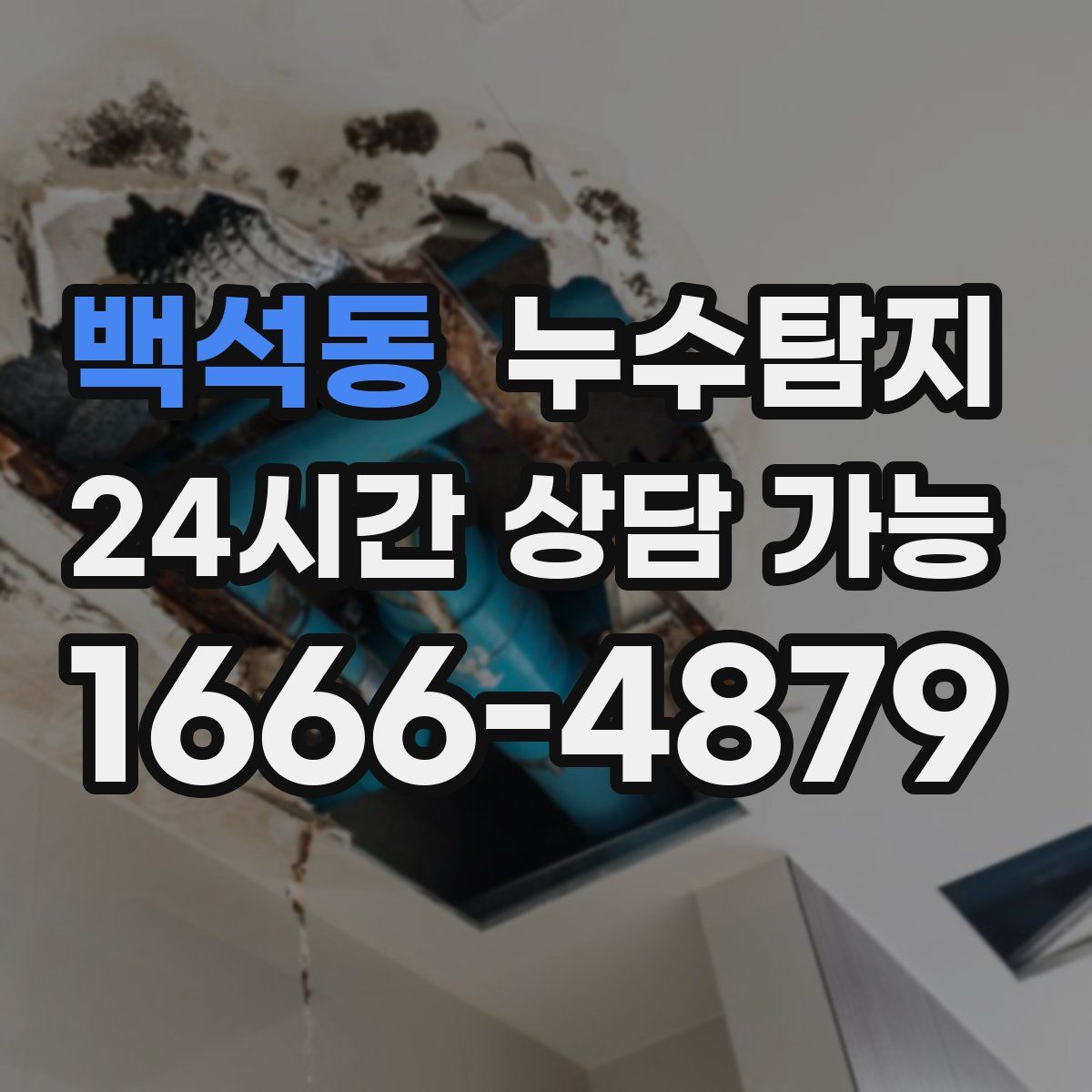 백석동 누수탐지