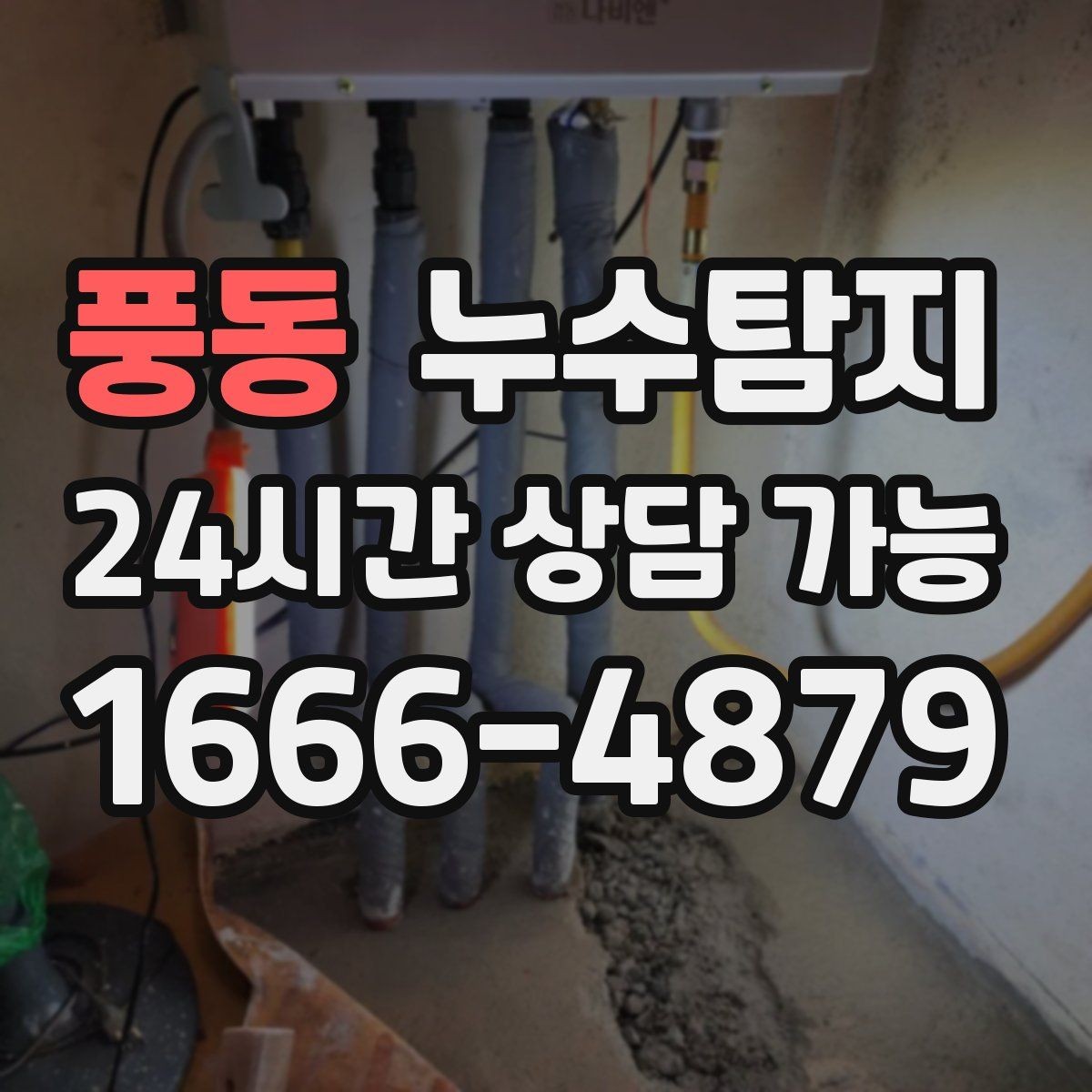 풍동 누수탐지 상가 영업 중 조용한 점검기