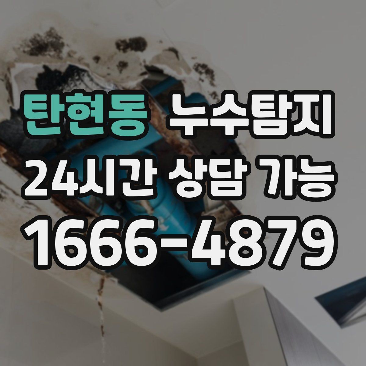 탄현동 누수탐지 현관 주변 습기 원인 제거 과정