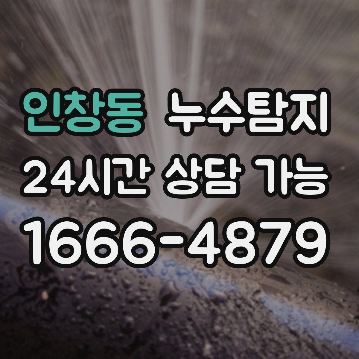 인창동 누수탐지 병원 진료동 안전 점검 이야기