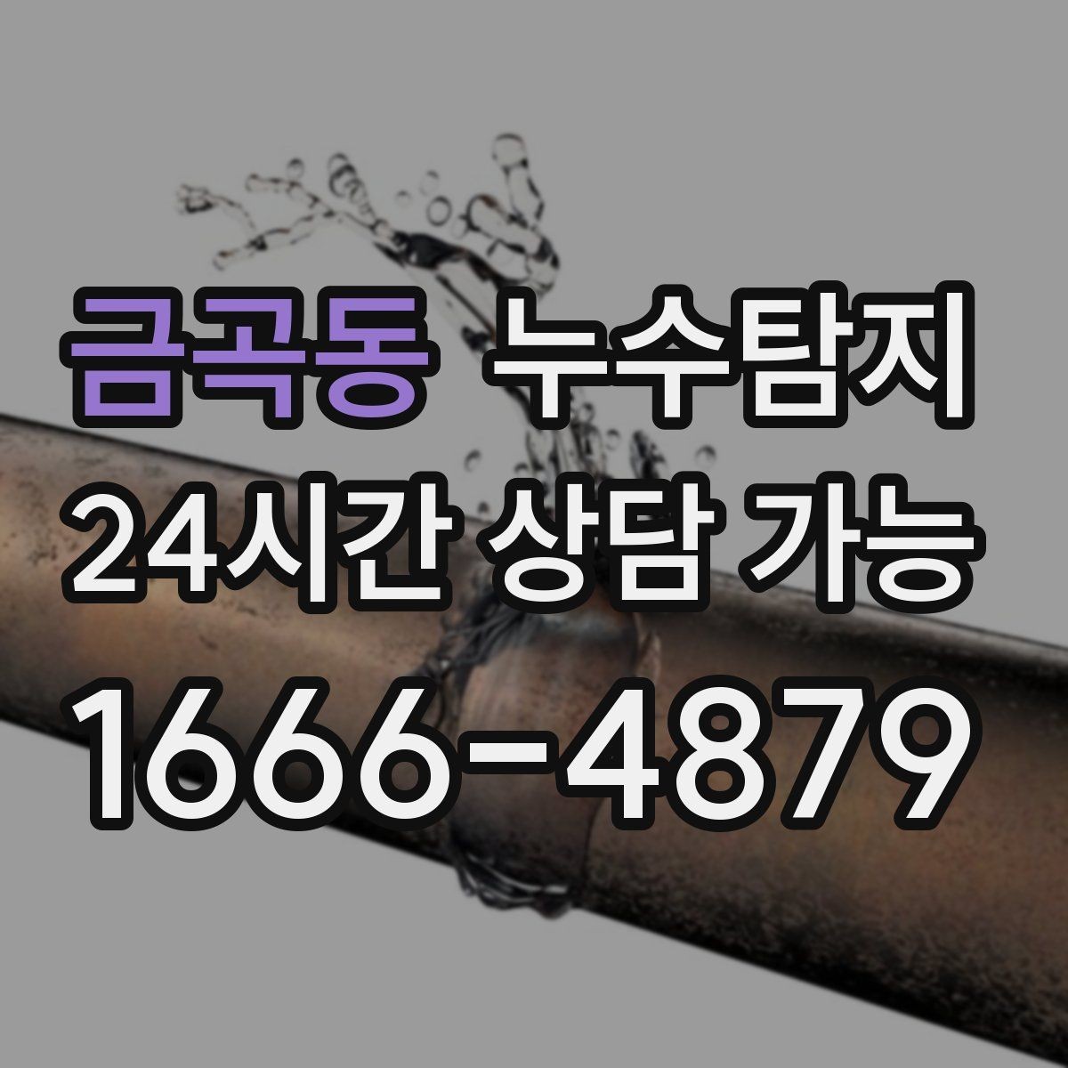 금곡동 누수탐지 층간 분쟁을 줄이는 객관적 진단
