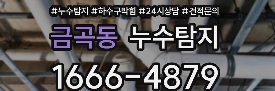누수탐지