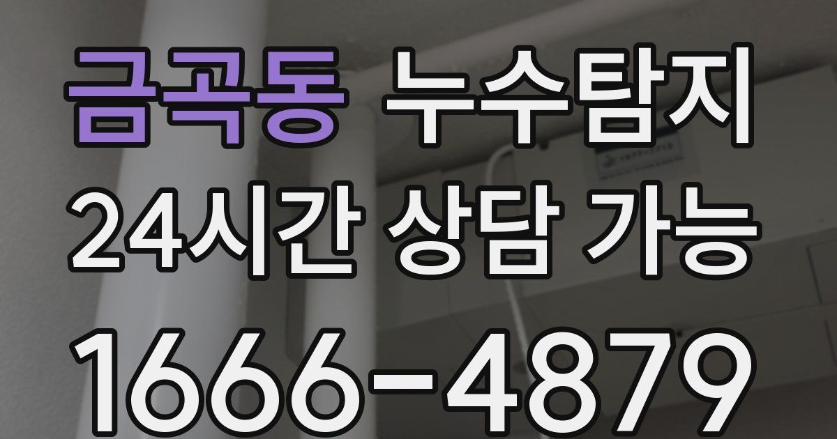 금곡동 누수