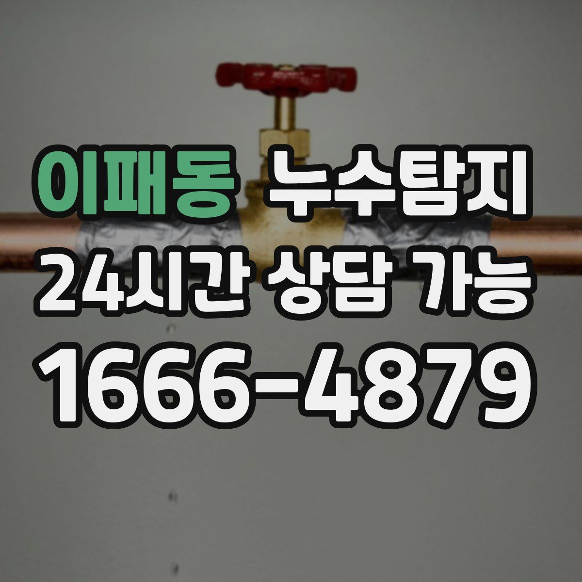 이패동 누수탐지