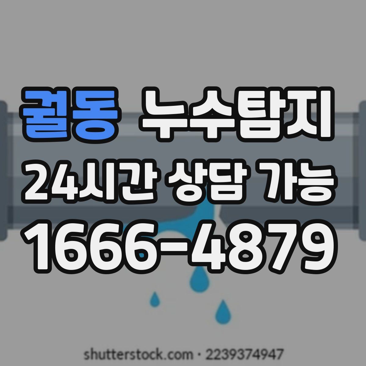 궐동 누수탐지 공실 관리 정기 점검 운영기