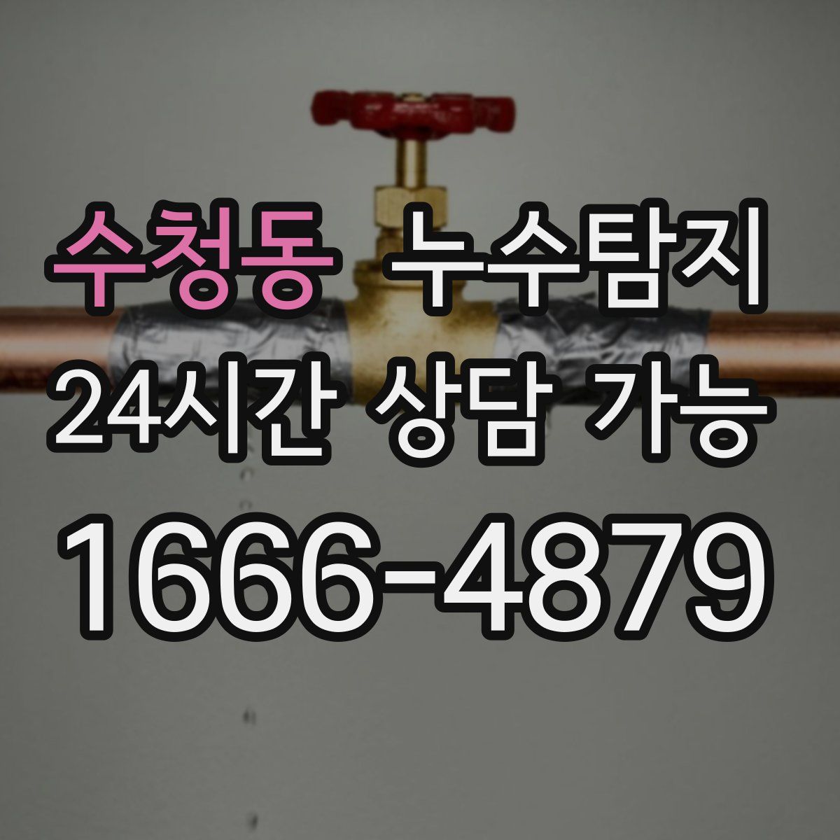 수청동 누수탐지