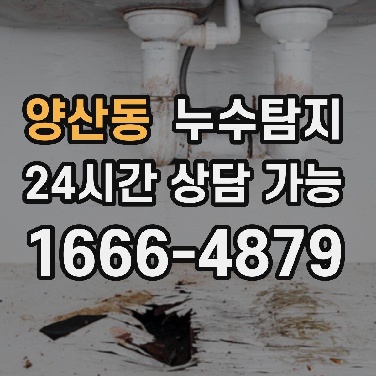 양산동 누수탐지 옥상 방수 점검과 보수 타이밍