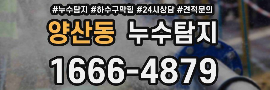 누수탐지