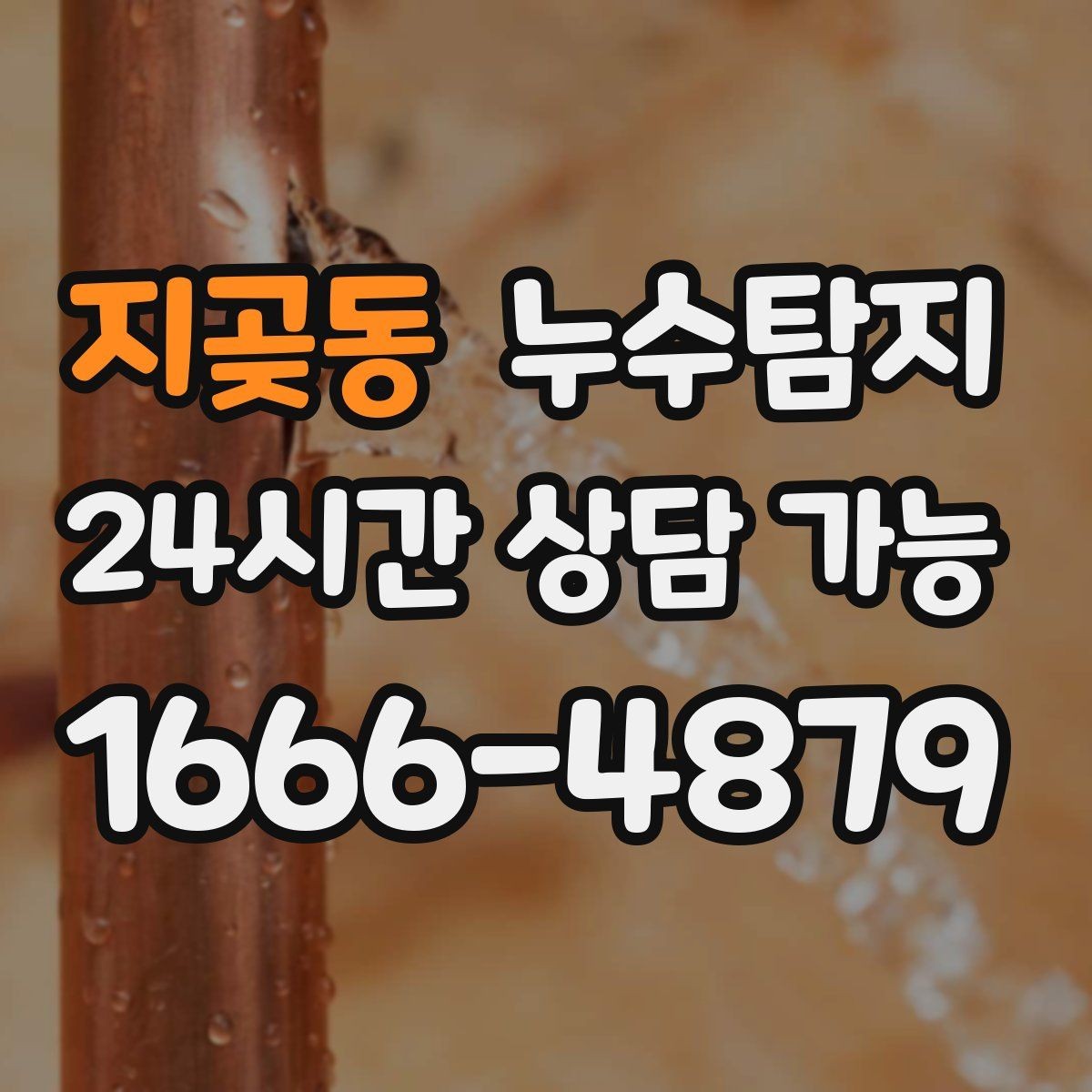 지곶동 누수탐지 난방 배관 누수 정밀 탐지