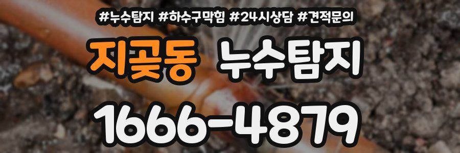 누수탐지