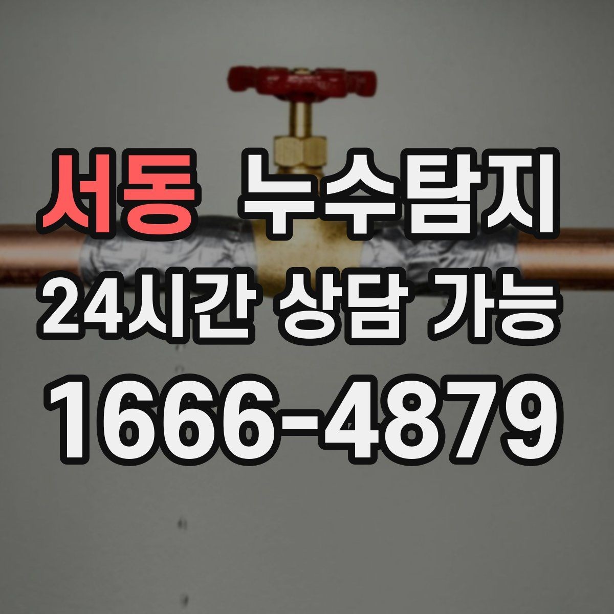 서동 누수탐지 욕실 곰팡이 원인과 해결 과정