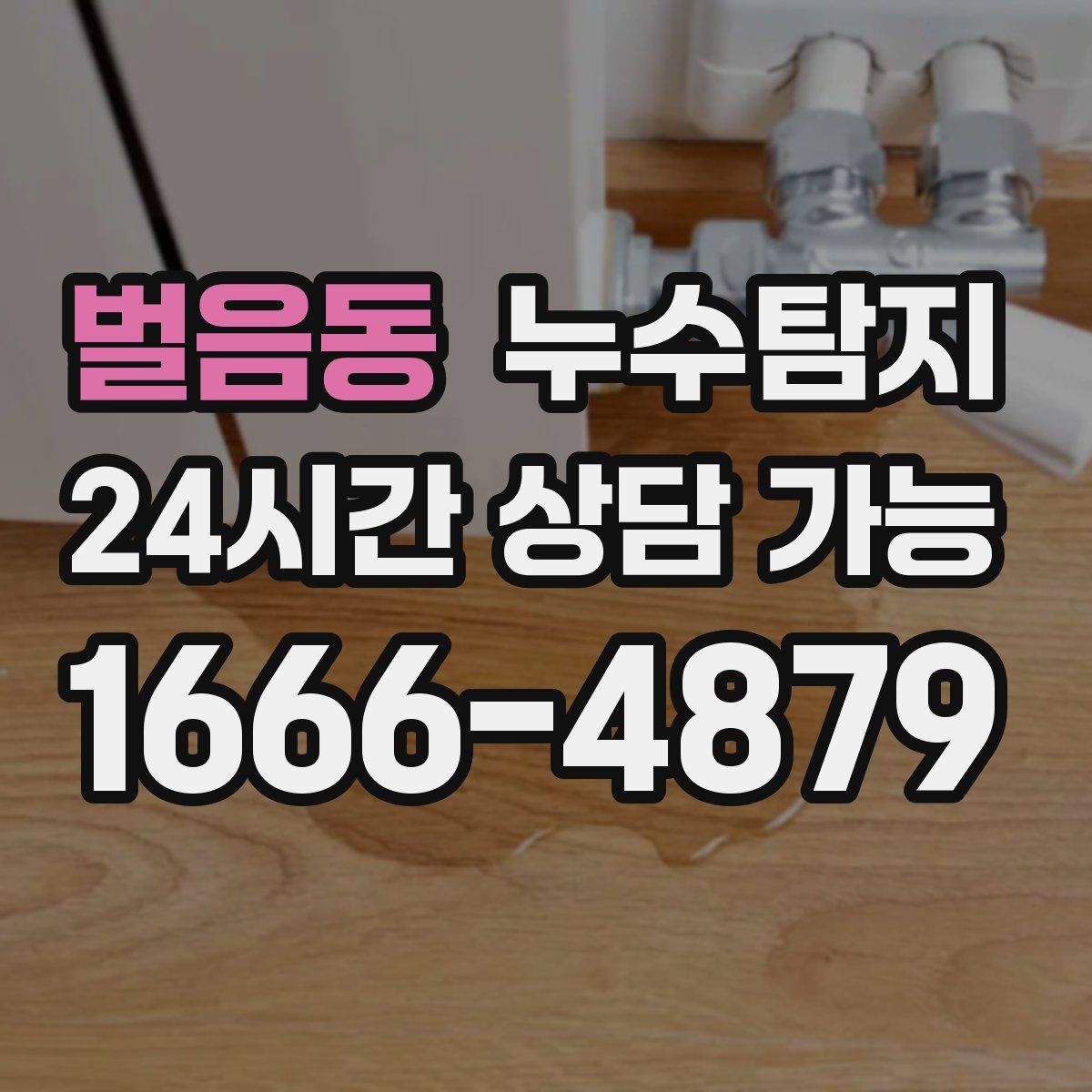 벌음동 누수탐지