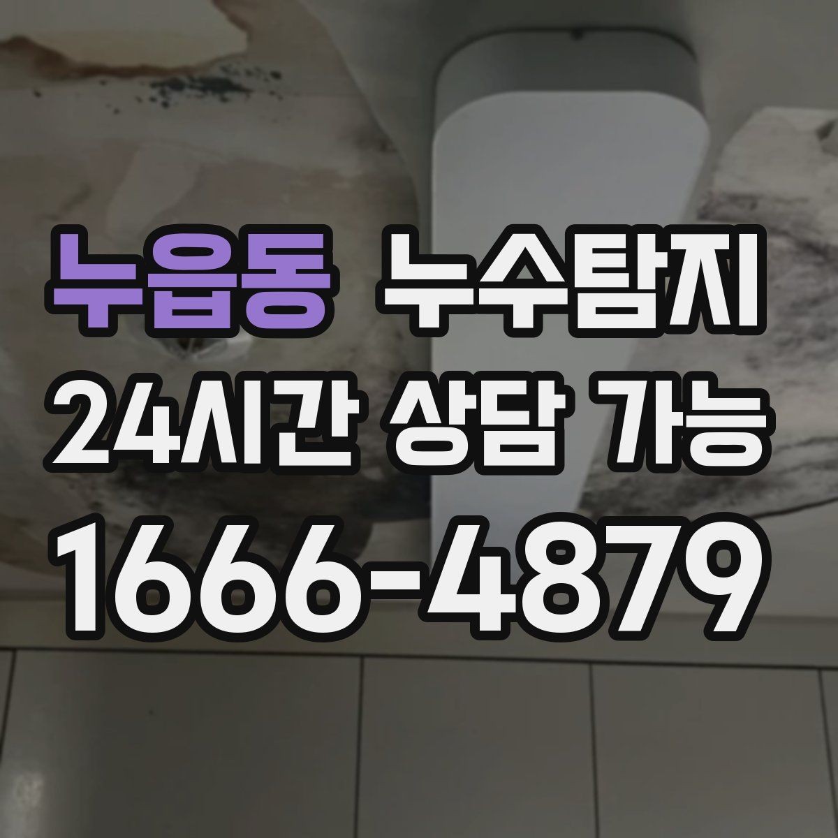 누읍동 누수탐지 당일 상담과 긴급 점검 이용 후기
