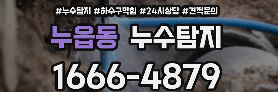 누수탐지