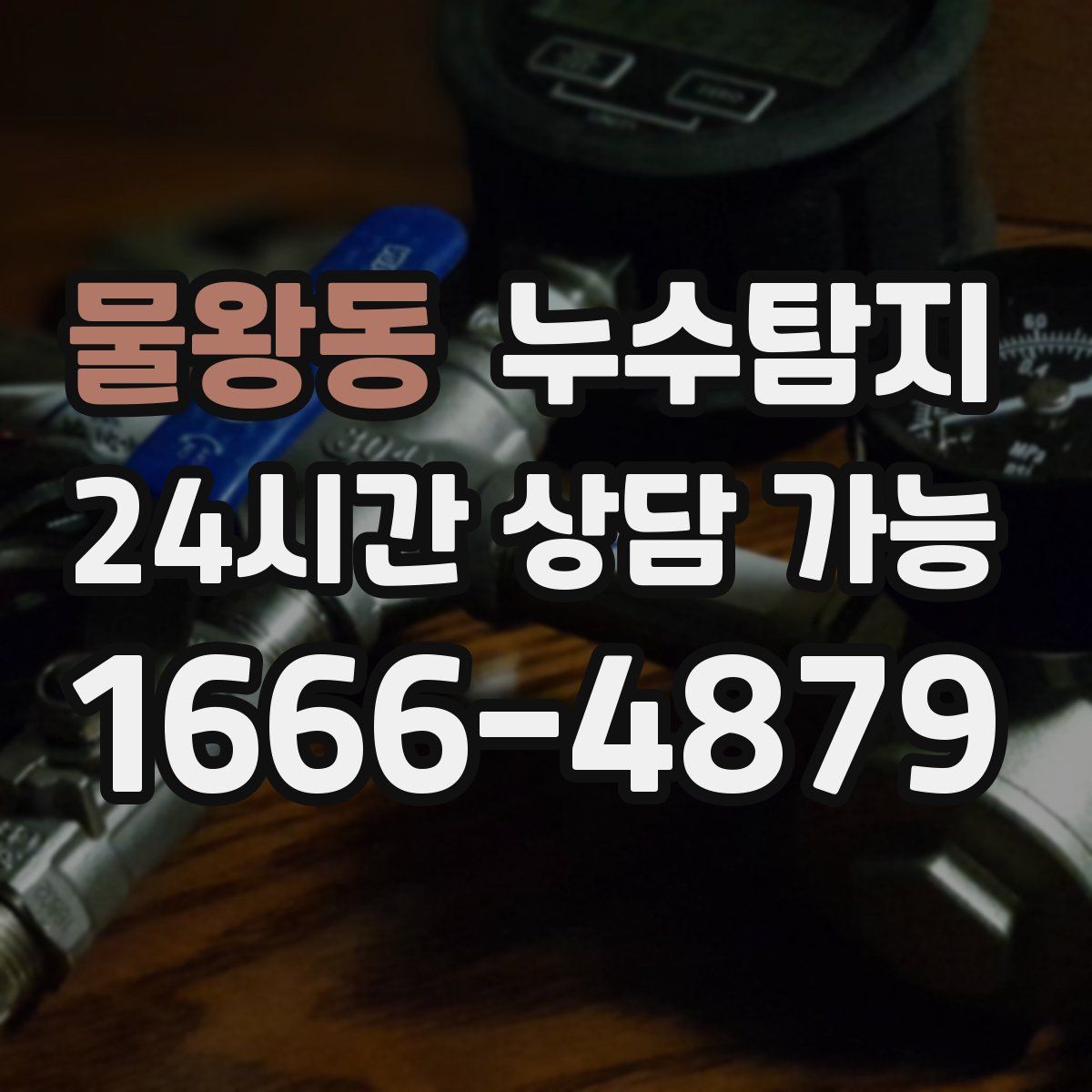 물왕동 누수탐지