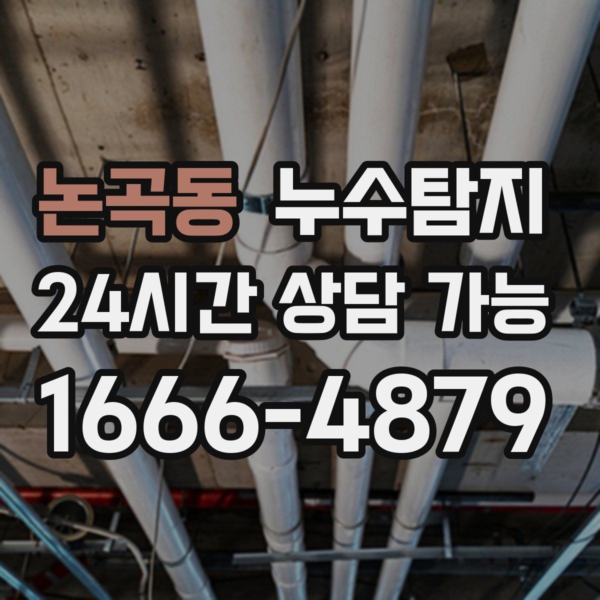 논곡동 누수탐지 벽체 내부 소리로 찾은 단서