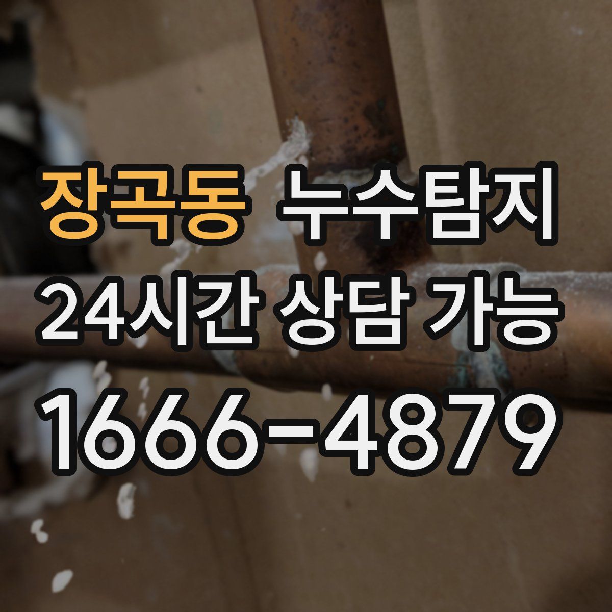 장곡동 누수탐지