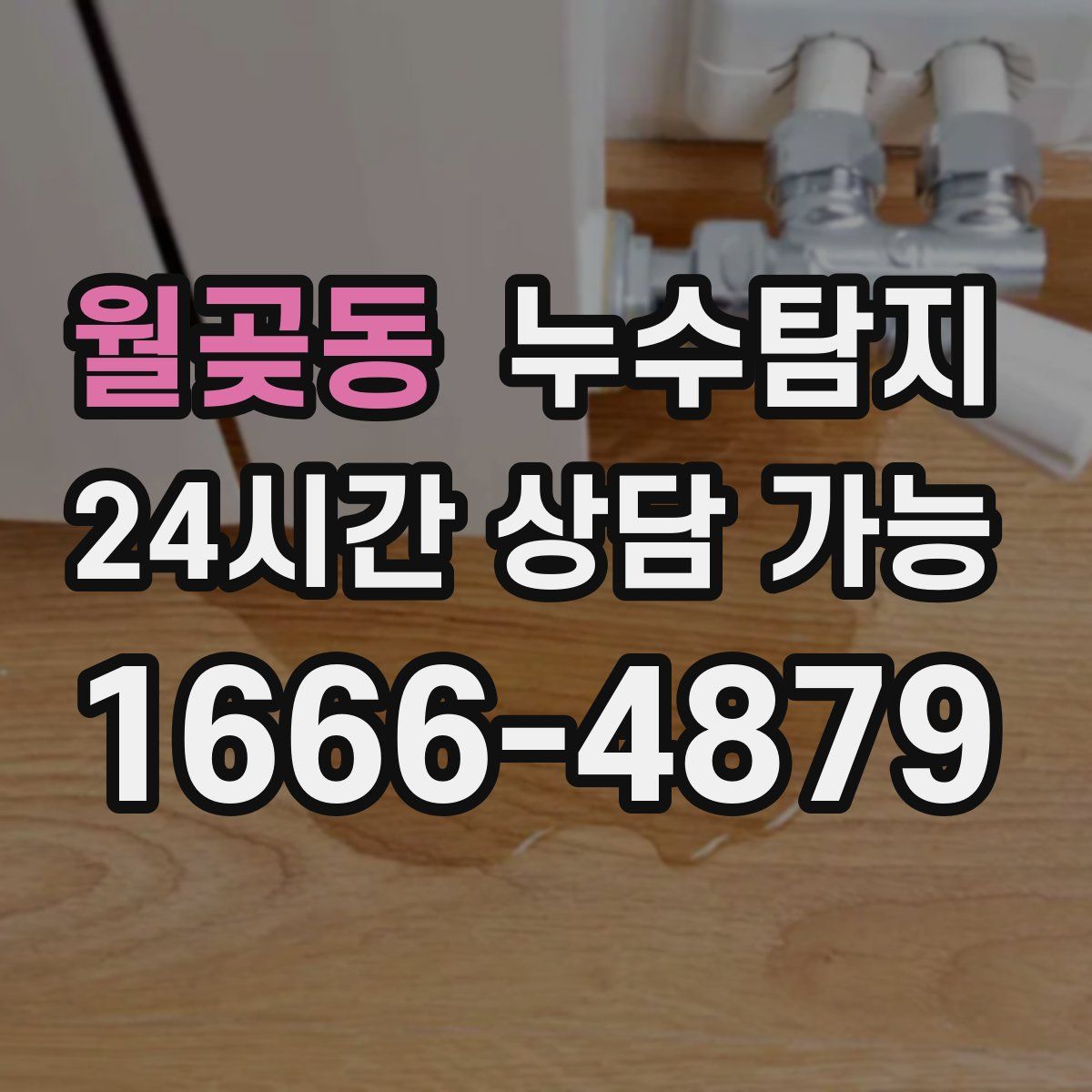 월곶동 누수탐지