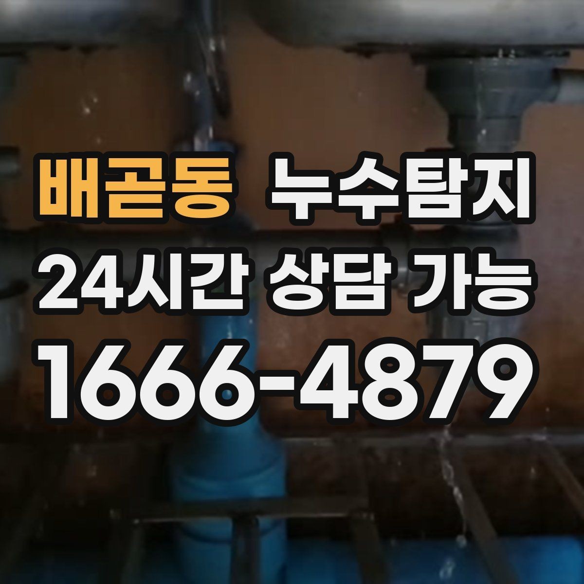배곧동 누수탐지 빌라에서 자주 겪는 사례 정리
