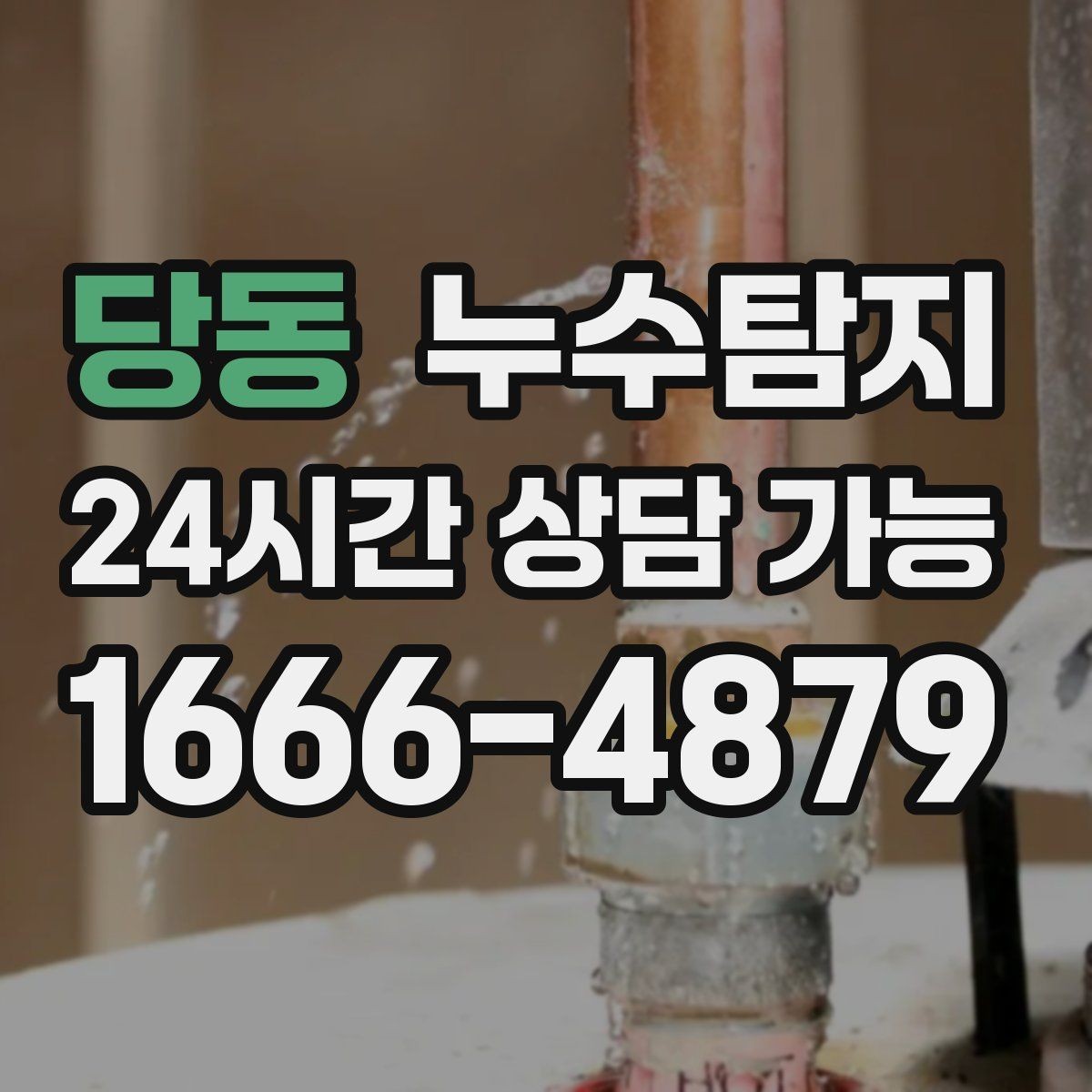 당동 누수탐지 장비 기반 정확 진단