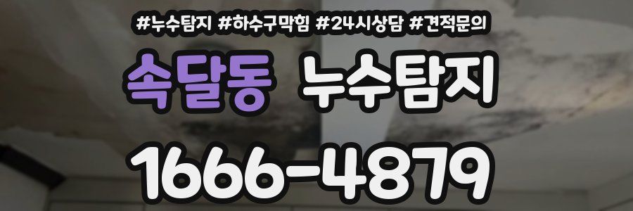 누수탐지