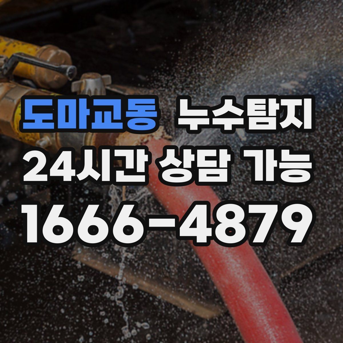 도마교동 누수탐지 새집 곰팡이 원인 차단