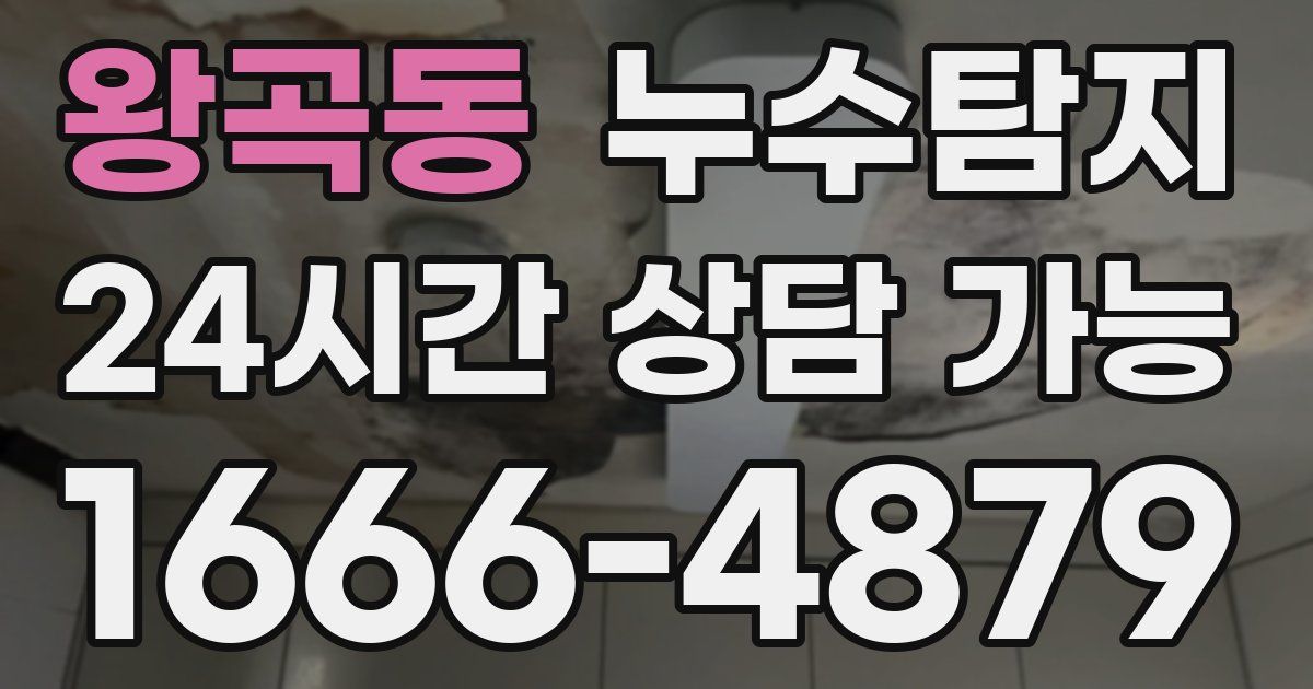 왕곡동 누수