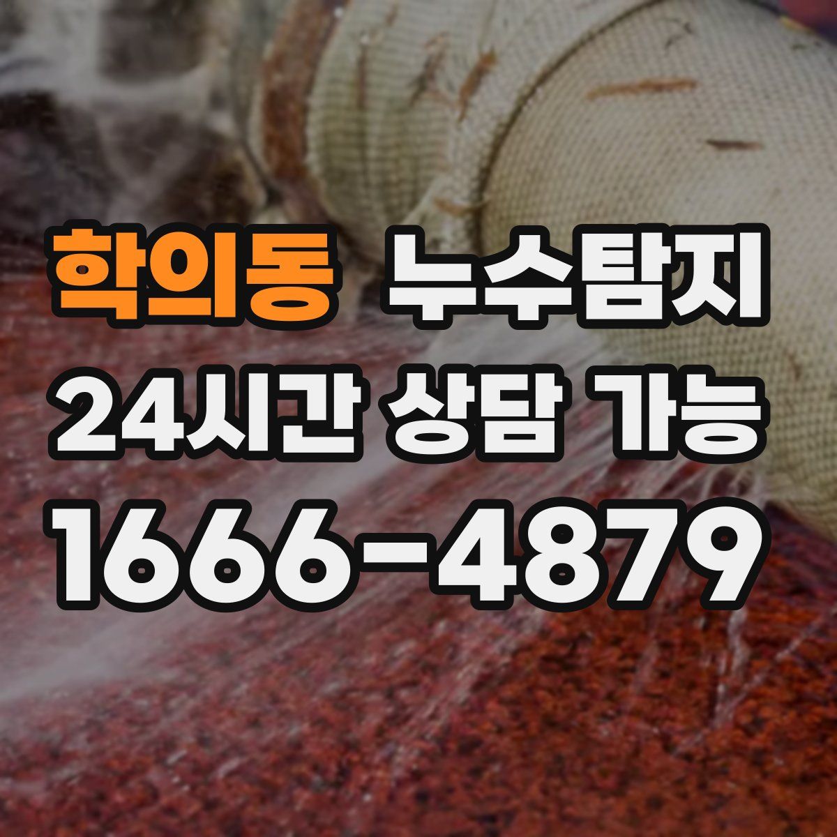 학의동 누수탐지