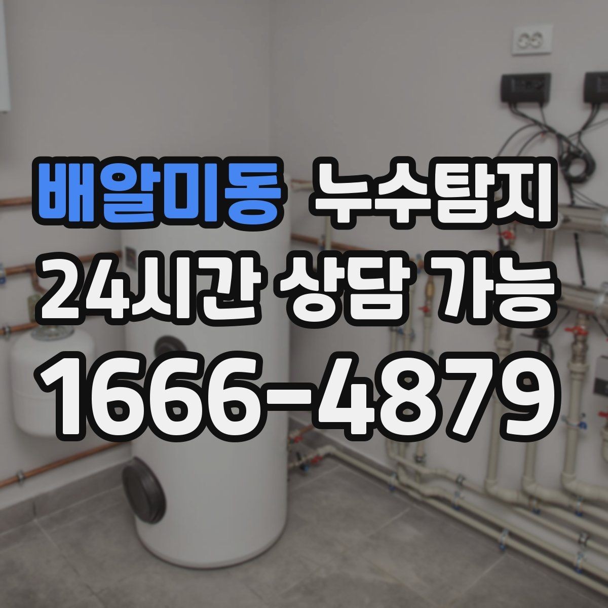 배알미동 누수탐지 현관 주변 습기 원인 제거 과정
