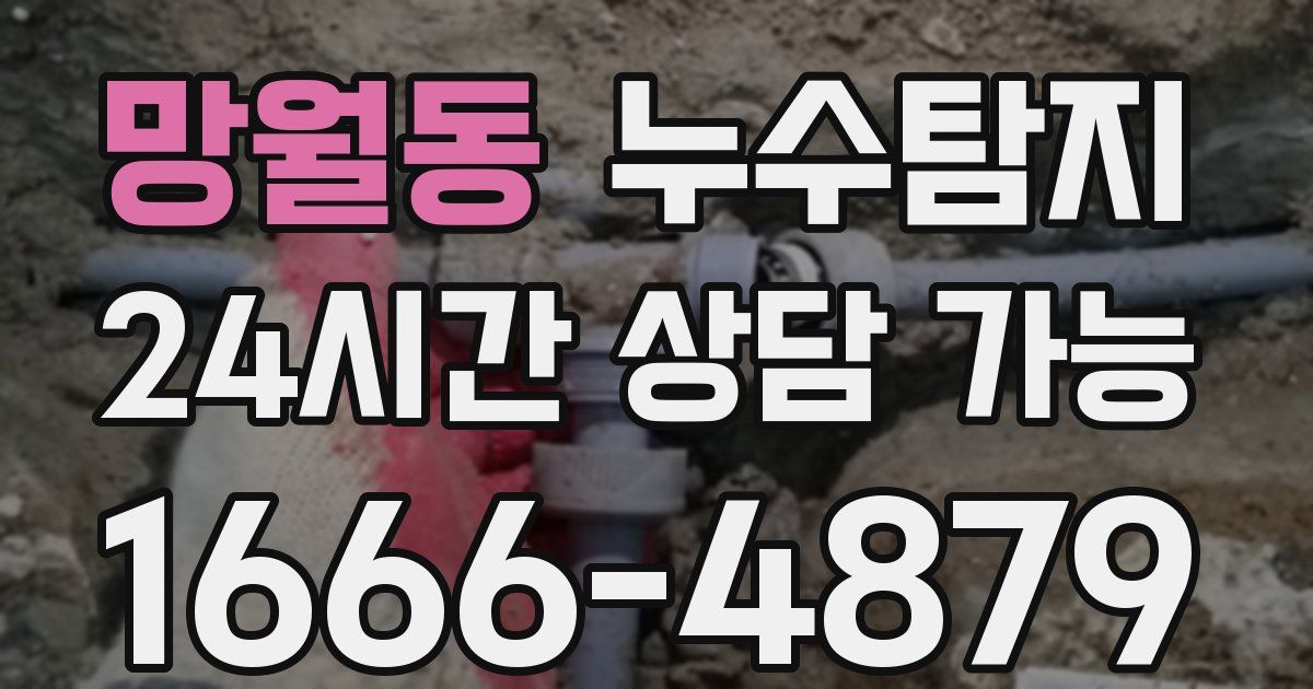 망월동 누수