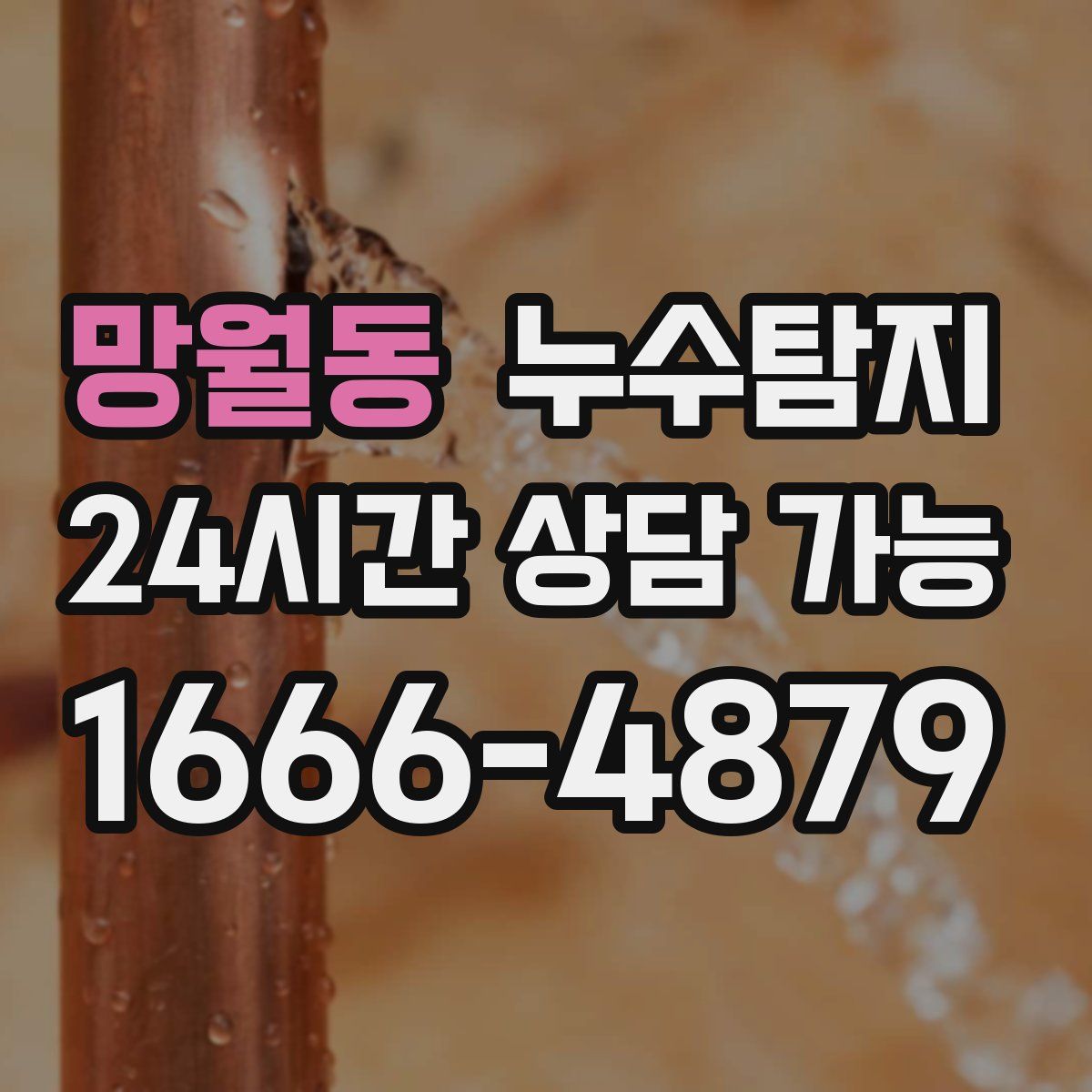 망월동 누수탐지