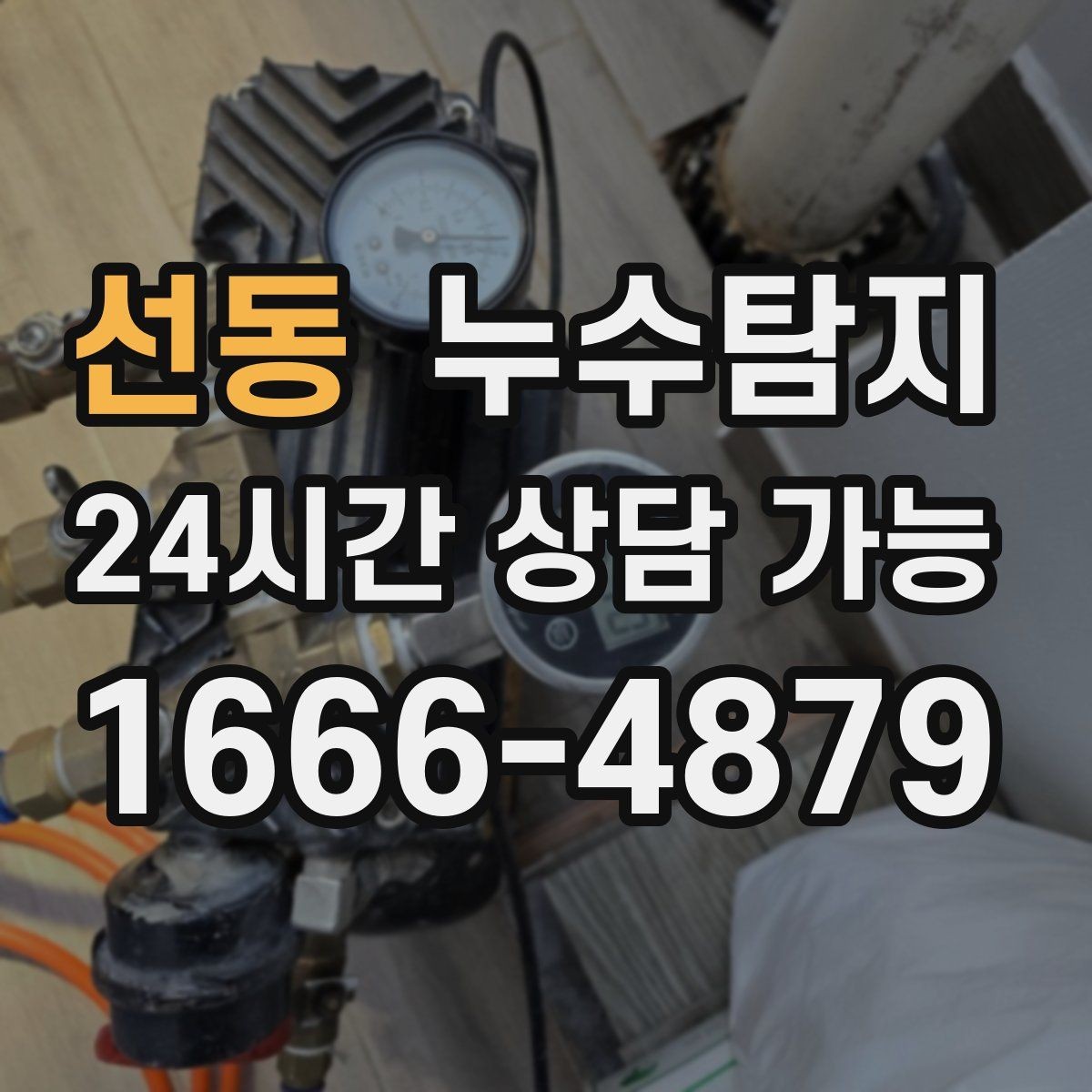 선동 누수탐지 작은 물자국으로 시작된 점검기
