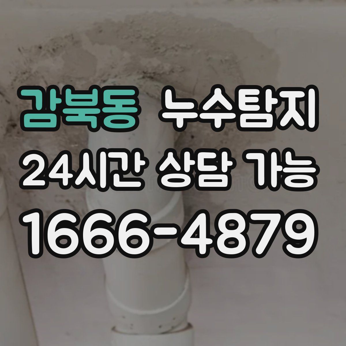 감북동 누수탐지