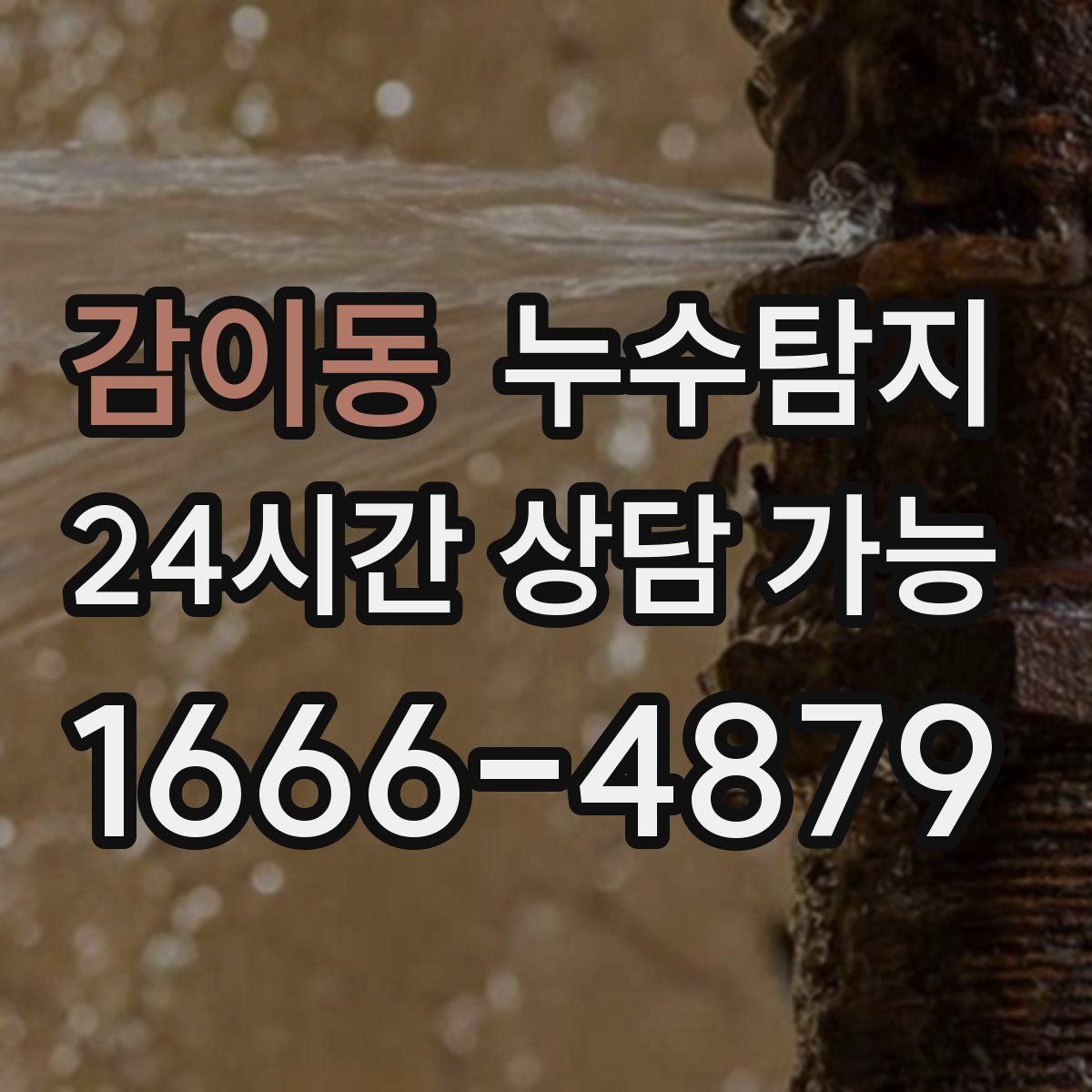 감이동 누수탐지