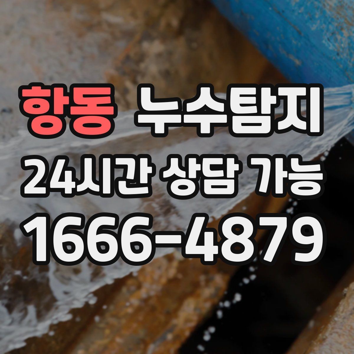 항동 누수탐지 아이와 반려동물을 위한 안전 점검