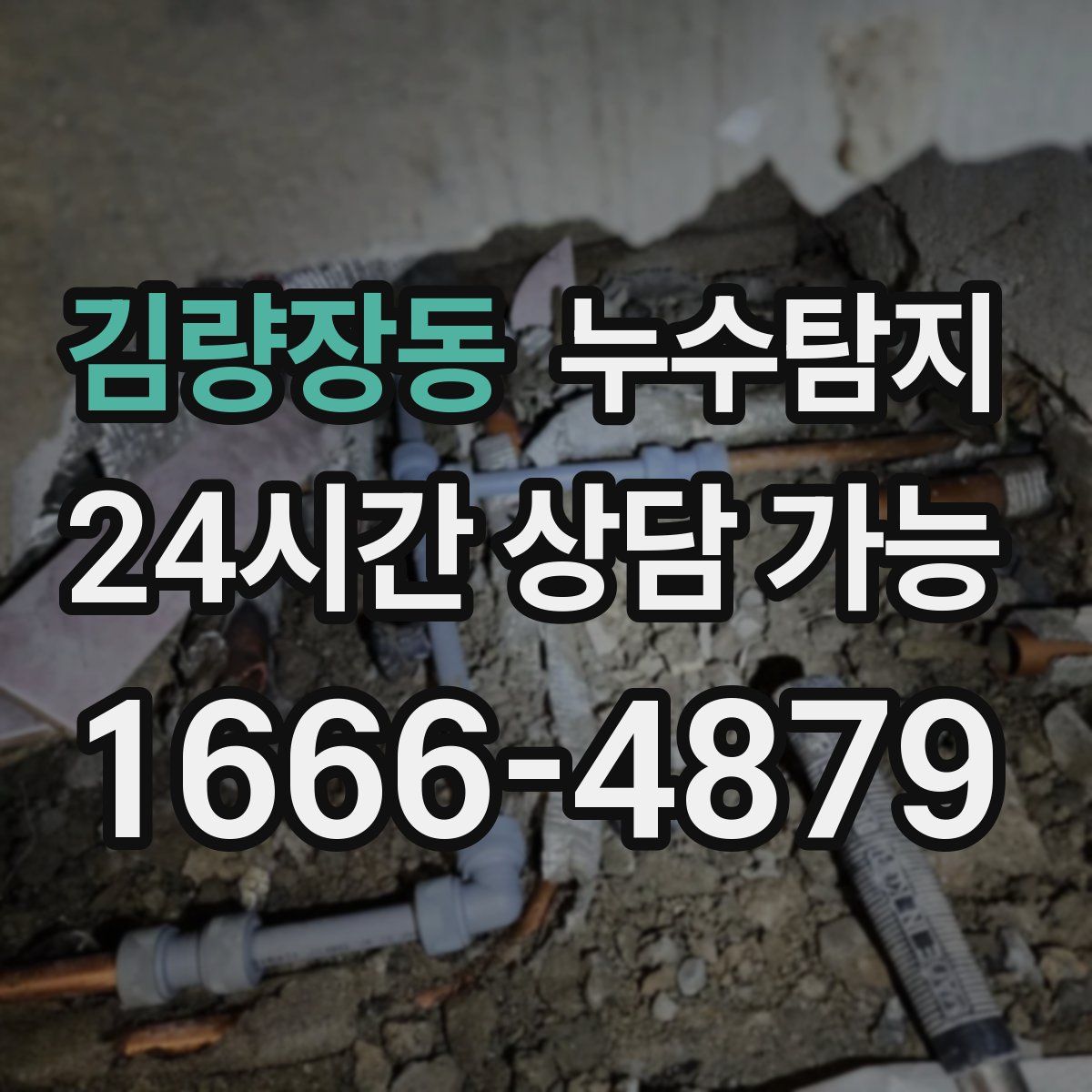 김량장동 누수탐지