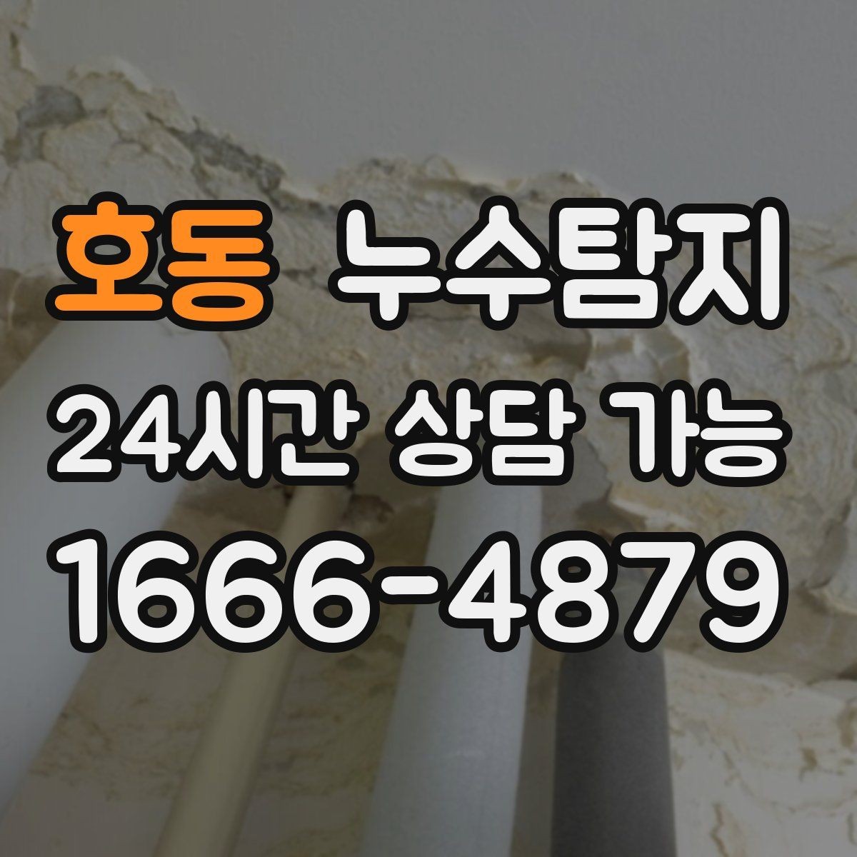 호동 누수탐지 반지하 습기 문제 해결기